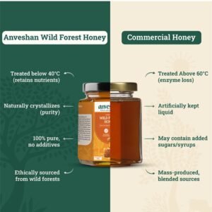 Anveshan Raw Wild Forest Honey 500gm